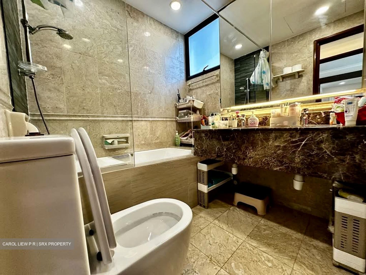 Parc Oasis (D22), Condominium #556025441